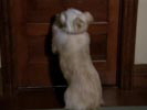 7th Heaven photo 5 (episode s04e06)