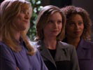 Ally McBeal photo 5 (episode s01e12)