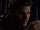 Angel - Jger der Finsternis photo 5 (episode s02e16)