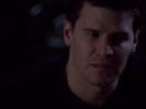 Angel photo 4 (episode s04e10)