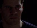 Angel - Jger der Finsternis photo 5 (episode s04e12)