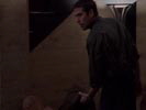 Angel photo 8 (episode s04e13)