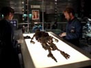 Bones photo 3 (episode s02e08)