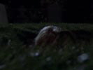Buffy, the Vampire Slayer photo 1 (episode s02e02)