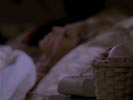 Buffy, the Vampire Slayer photo 5 (episode s02e12)