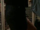 Buffy contre les vampires photo 6 (episode s03e04)