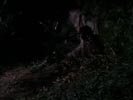 Buffy l'ammazza vampiri photo 1 (episode s04e13)