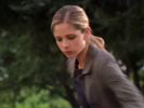 Buffy l'ammazza vampiri photo 2 (episode s04e15)