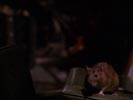 Buffy, the Vampire Slayer photo 2 (episode s07e02)