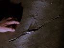 Charmed - Zauberhafte Hexen photo 1 (episode s01e15)