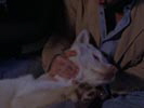 Charmed photo 8 (episode s03e21)