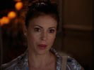 Charmed photo 8 (episode s08e06)