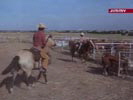 Dallas photo 4 (episode s03e07)