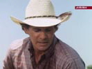 Dallas photo 8 (episode s09e05)