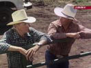 Dallas photo 3 (episode s09e29)