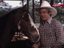 Dallas photo 7 (episode s09e31)