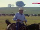 Dallas photo 8 (episode s12e05)