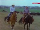 Dallas photo 3 (episode s12e10)