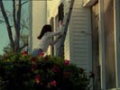 Dawson's Creek photo 5 (episode s01e01)