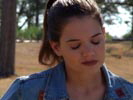 Dawson's Creek photo 1 (episode s03e19)