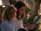 Dawson's Creek photo 5 (episode s03e20)