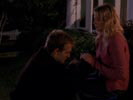 Dawson's Creek photo 8 (episode s05e11)