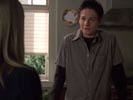 Everwood photo 8 (episode s01e07)