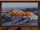 Everwood photo 1 (episode s01e15)