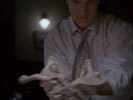 Everwood photo 8 (episode s01e17)