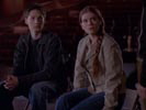 Everwood photo 8 (episode s01e20)