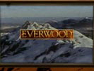 Everwood photo 1 (episode s02e05)