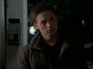 Everwood photo 3 (episode s02e07)