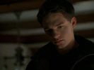 Everwood photo 4 (episode s02e07)