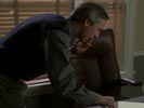 Everwood photo 3 (episode s02e08)