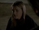 Everwood photo 4 (episode s02e08)