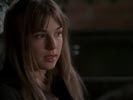 Everwood photo 6 (episode s02e14)