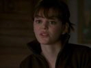 Everwood photo 2 (episode s02e15)