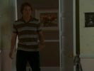 Everwood photo 4 (episode s02e20)