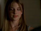 Everwood photo 3 (episode s02e22)