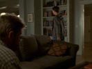 Everwood photo 7 (episode s02e22)