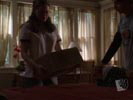 Everwood photo 2 (episode s03e04)