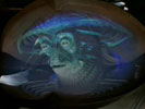 Farscape photo 6 (episode s01e01)