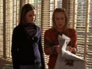 Gilmore girls photo 2 (episode s04e08)