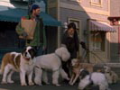 Gilmore girls photo 5 (episode s04e15)