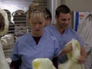 Grey's Anatomy photo 1 (episode s01e03)