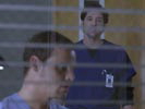 Grey's Anatomy photo 5 (episode s01e05)