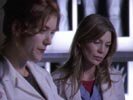 Grey's Anatomy photo 6 (episode s02e04)