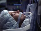 Grey's Anatomy photo 7 (episode s03e14)