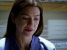 Grey's Anatomy photo 8 (episode s03e17)