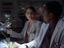 Dr. House - Medical Division photo 3 (episode s01e12)